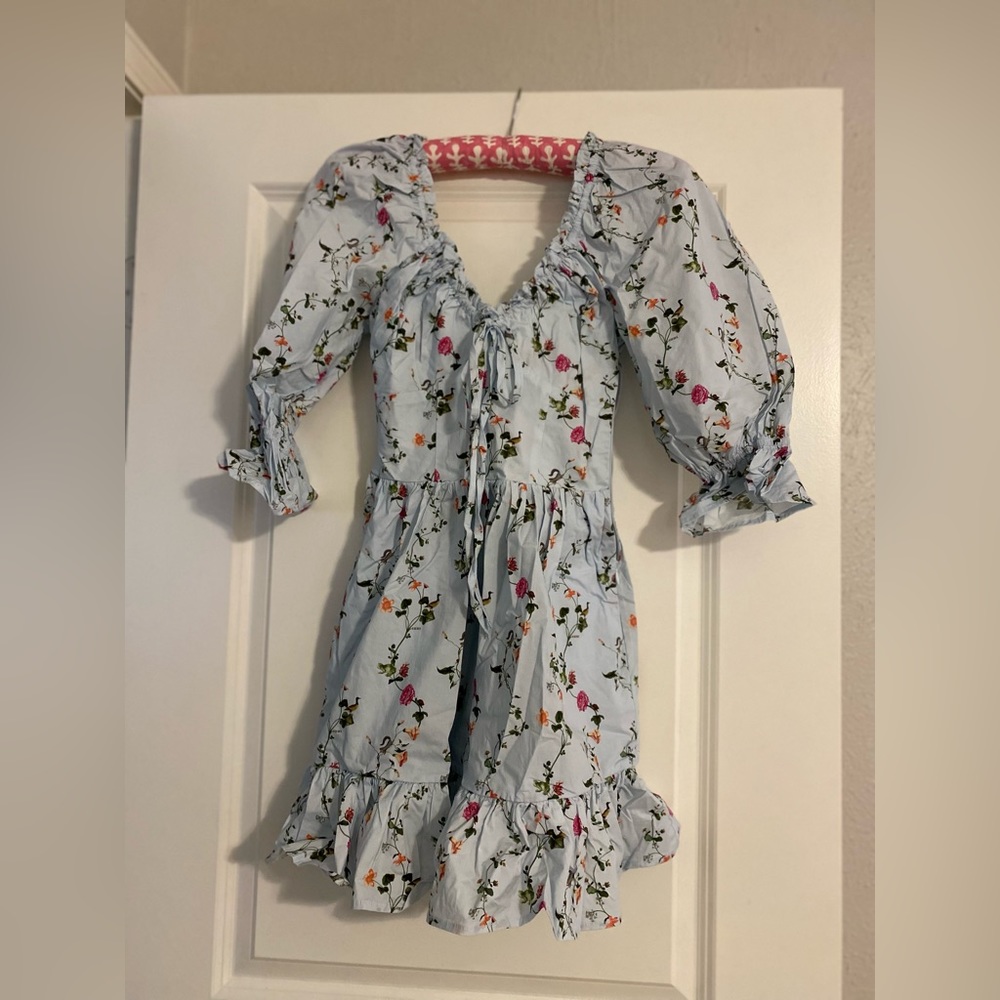 Hill House Dress - XS - Pond duck print